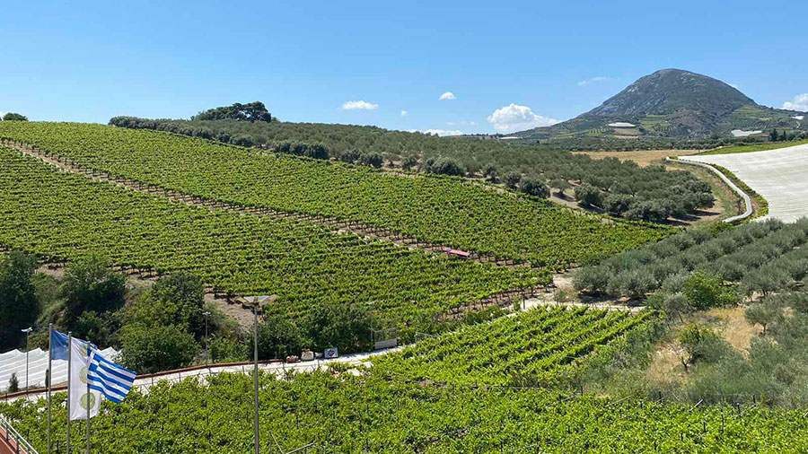 KNOSSOS PALACE TOUR & THE VALLEY OF ZEUS